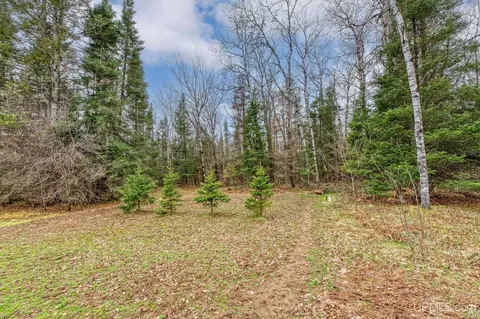 Exterior - 11624 Delbert, Long Lake, WI 54542 photo 5 of 12