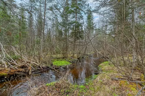 Other - 11624 Delbert, Long Lake, WI 54542 photo 2 of 5