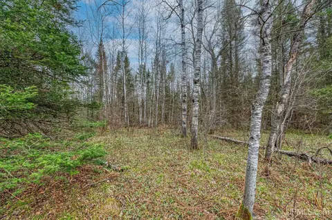 Exterior - 11624 Delbert, Long Lake, WI 54542 photo 8 of 12