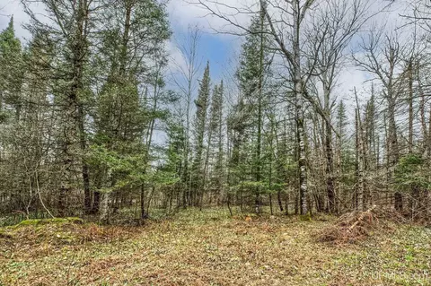 Exterior - 11624 Delbert, Long Lake, WI 54542 photo 10 of 12