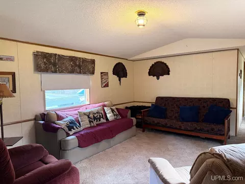 Living - 11624 Delbert, Long Lake, WI 54542 photo 1 of 3