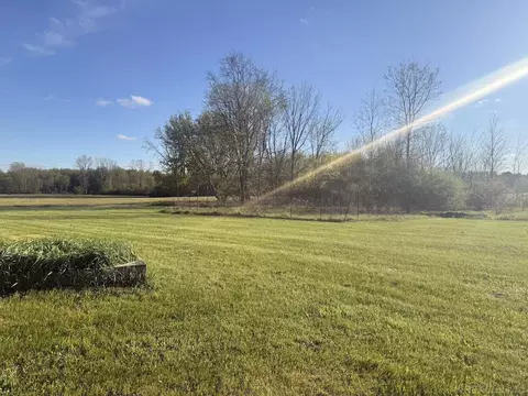 11516 Territorial, Munith, MI 49259 photo 8