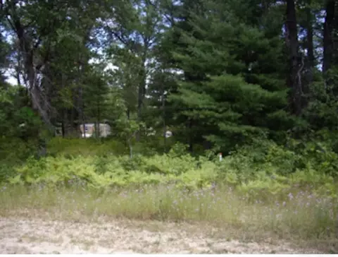 Pinecone, Prudenville, MI 48651