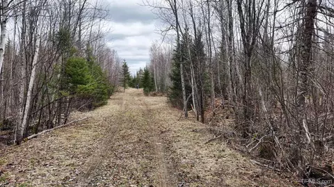 tbd Co Rd Sae, Cornell, MI 49818 photo 19