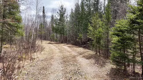 tbd Co Rd Sae, Cornell, MI 49818 photo 18
