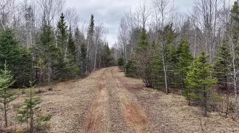 tbd Co Rd Sae, Cornell, MI 49818 photo 16