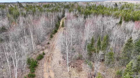 tbd Co Rd Sae, Cornell, MI 49818 photo 3