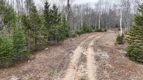 tbd Co Rd Sae, Cornell, MI 49818 photo 9