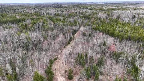 tbd Co Rd Sae, Cornell, MI 49818 photo 14