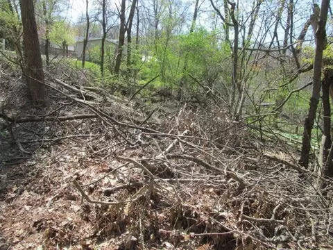 Fairview, Jackson, MI 49201 photo 3