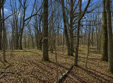 lot967 Cherry, Farwell, MI 48622