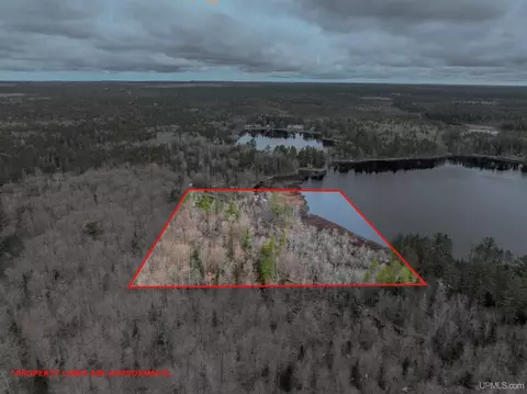 tbd Big Twin Lk, Wetmore, MI 49895