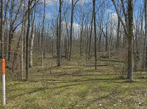 lot4 White Birch, Farwell, MI 48622