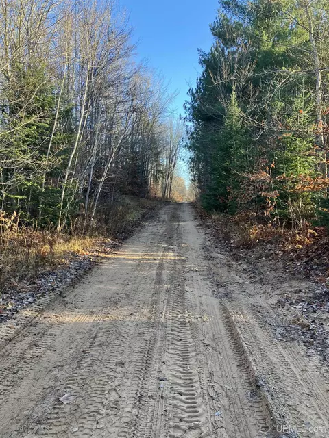 Other - 12451 155, Rapid River, MI 49878 photo 6 of 8