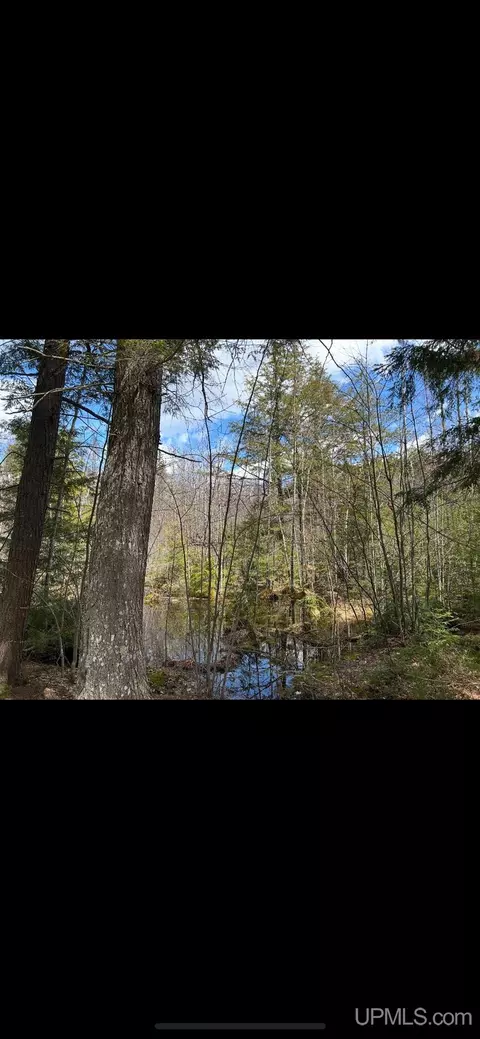 Other - 12451 155, Rapid River, MI 49878 photo 8 of 8