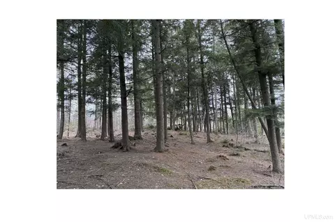 Exterior - 12451 155, Rapid River, MI 49878 photo 14 of 14