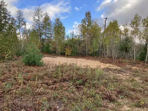 Exterior - 12451 155, Rapid River, MI 49878 photo 6 of 14