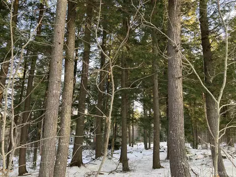 Exterior - 12451 155, Rapid River, MI 49878 photo 11 of 14