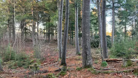 Exterior - 12451 155, Rapid River, MI 49878 photo 8 of 14