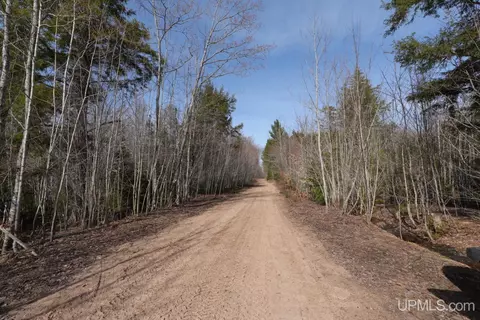 Other - 12451 155, Rapid River, MI 49878 photo 2 of 8