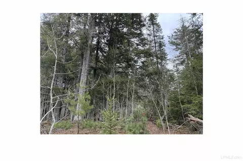 Other - 12451 155, Rapid River, MI 49878 photo 7 of 8