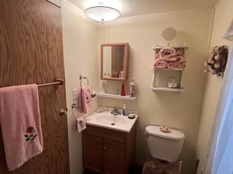 Bath - 3707 Towsley, Gladwin, MI 48624 photo 4 of 6
