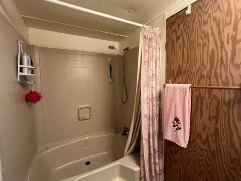 Bath - 3707 Towsley, Gladwin, MI 48624 photo 6 of 6