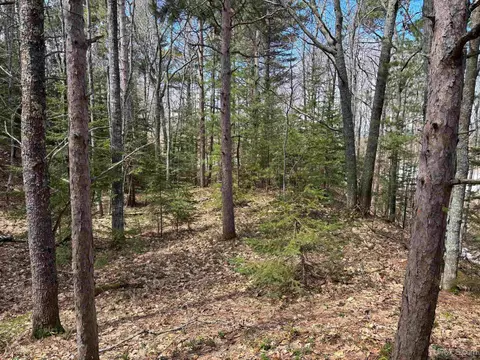 tbd Hwy M-26, Eagle Harbor, MI 49950 photo 14