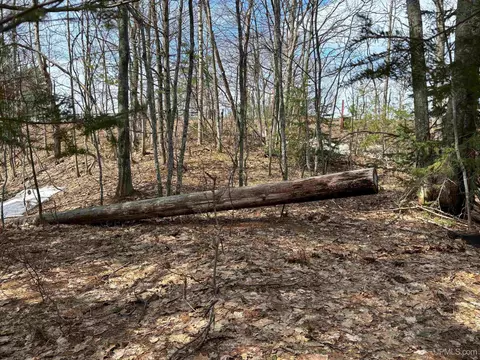 tbd Hwy M-26, Eagle Harbor, MI 49950 photo 22