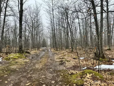 280 Acres Off Pikes Peak, L'anse, MI 49946