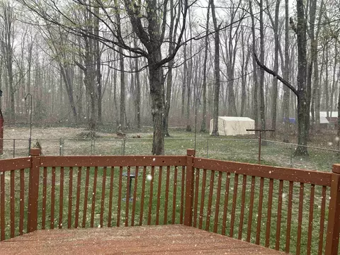 Exterior - 7677 Mill, Vanderbilt, MI 49795 photo 9 of 10