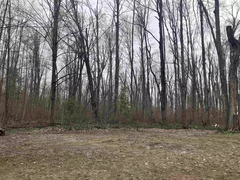 Exterior - 7677 Mill, Vanderbilt, MI 49795 photo 7 of 10