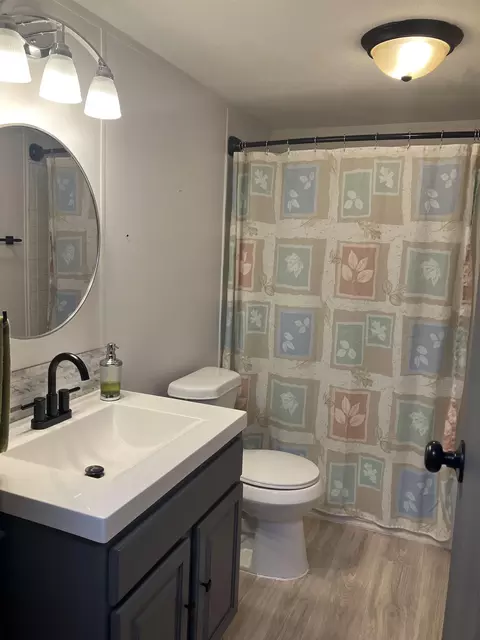 Bath - 7677 Mill, Vanderbilt, MI 49795 photo 4 of 4