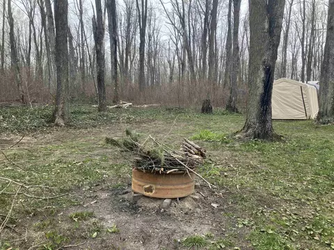Exterior - 7677 Mill, Vanderbilt, MI 49795 photo 6 of 10
