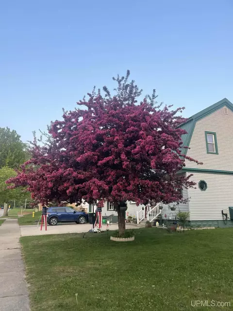 Other - 319 Maple, Munising, MI 49862 photo 14 of 14