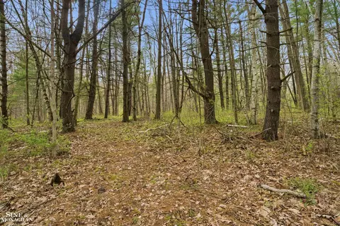 Other - 668 S Bartlett, Saint Clair, MI 48079 photo 5 of 15