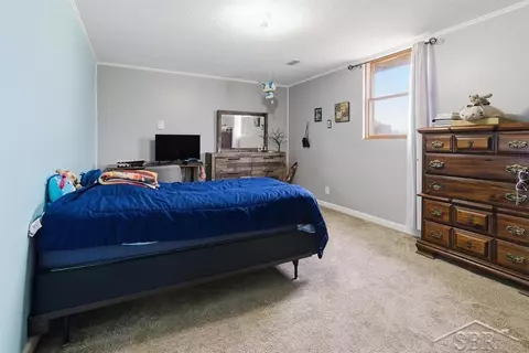 4469 E Millbrook, Mount Pleasant, MI 48858 photo 20