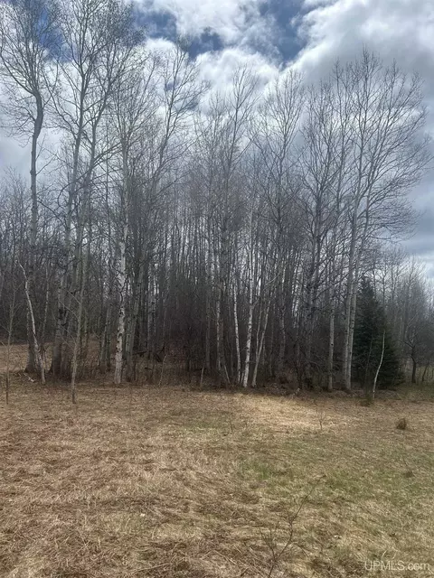 tbd 10-1 Mill Pond, Trout Creek, MI 49967