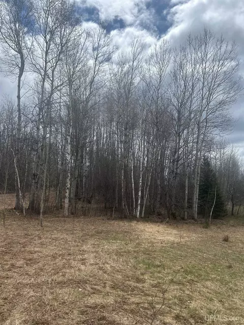 tbd 10-1 Mill Pond, Trout Creek, MI 49967