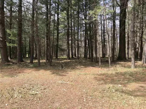 tbd W Eight Point Lk, Lake, MI 48632