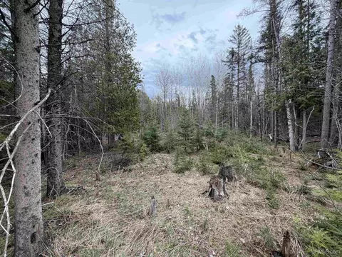 tbd Old Us 41, Trenary, MI 49891