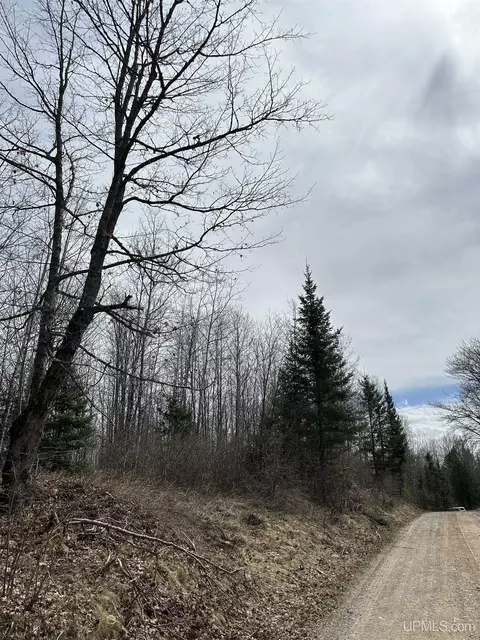 tbd Net Riv, Crystal Falls, MI 49920