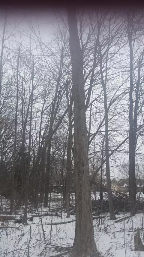 0 Waldo, Troy, MI 48085 photo 7