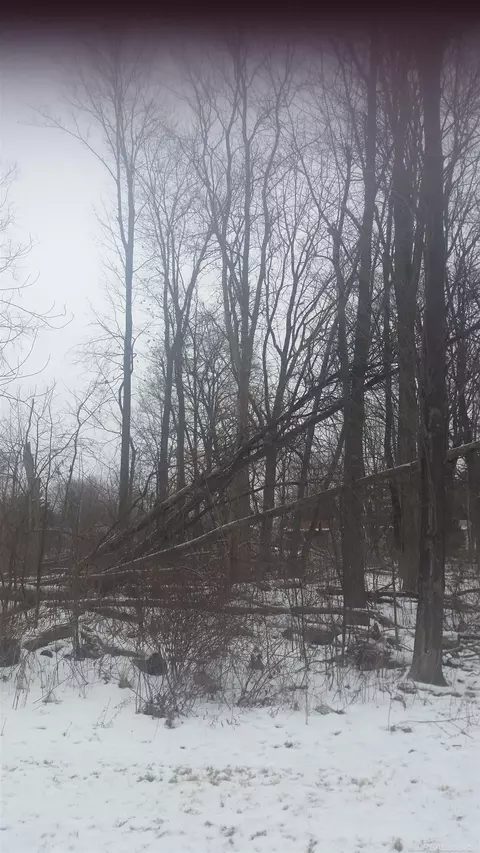 0 Waldo, Troy, MI 48085 photo 9