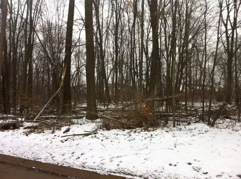 0 Waldo, Troy, MI 48085 photo 3