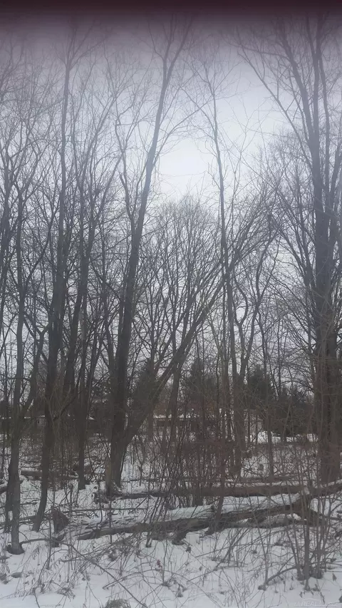 0 Waldo, Troy, MI 48085 photo 8