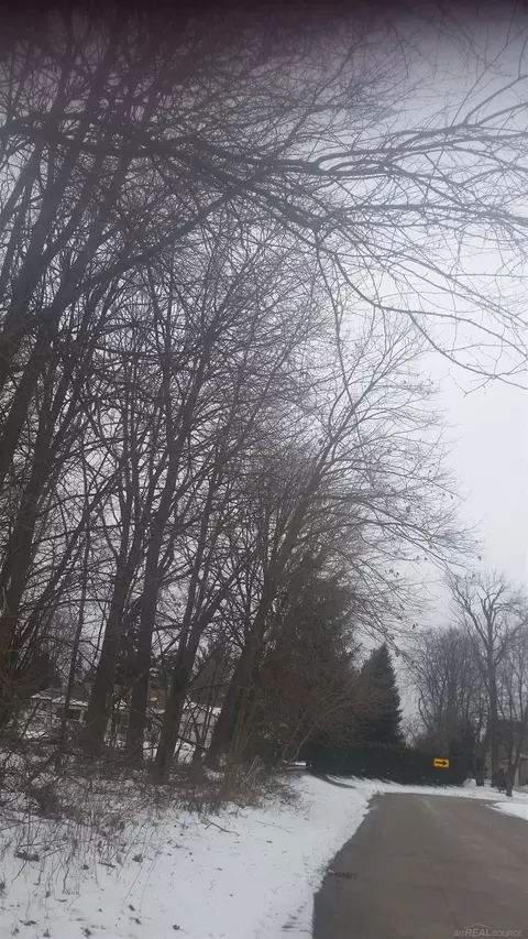 0 Waldo, Troy, MI 48085 photo 6
