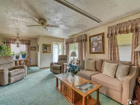 Living - 18800 Wall, Melvindale, MI 48122 photo 3 of 4