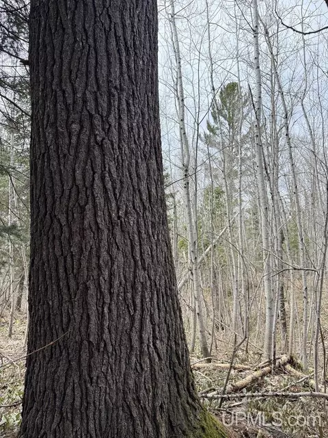 37373 Crooked, Chassell, MI 49916