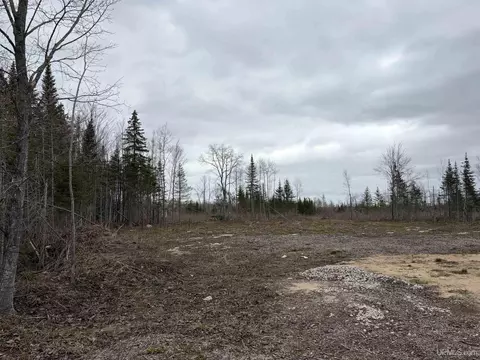 tbd Cooper Rd, Gulliver, MI 49840